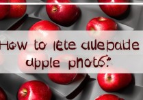 苹果相册重复的照片怎么删除