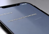vivo手机显示无法访问移动网络