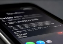 苹果手机安装过的软件删除不了怎么回事