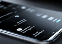 vivo 手机来电闪光灯怎么设置？