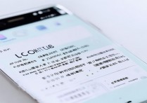 vivo手机怎么输入日语？方法步骤详解