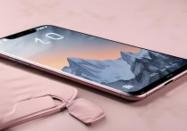 小米 14雪山粉是素皮吗