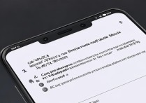 Xiaomi 12S Ultra如何打开开发者模式？详细教程步骤是什么？