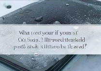 华为5x掉水里了怎么办？手机进水后还能救回来吗？