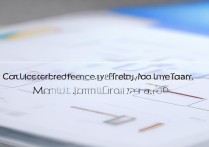 花呗每月额度管理功能，用户能自由调整吗？