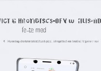 vivo手机怎么更换模式