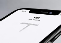 苹果11电量显示数怎么设置