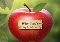 苹果动不了怎么回事啊