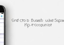 苹果6s怎么上两个微信