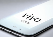 vivo手机一直发白怎么回事儿