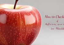 苹果手机怎么看是否维修过？维修记录查询方法