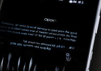 oppo黑屏手势取消不了怎么办？