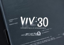 vivox30实际体验如何？日常使用流畅吗？