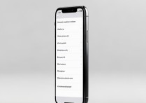 苹果ios11怎么添加信任