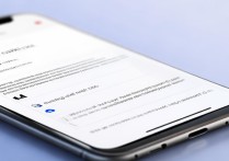 vivo怎么拦截骚扰电话