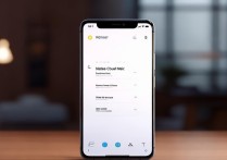 小米13网易云小播放器在哪