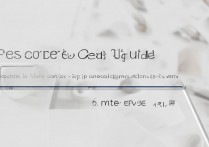 vivo手机怎么开启5G，vivo手机如何设置5G网络