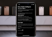 苹果5如何设置动态壁纸？老机型有办法吗？