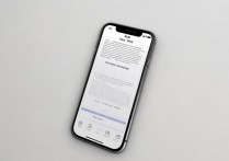 苹果5s怎么设置显示？苹果5s显示设置方法