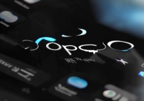 oppo官方应用商店