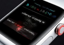 苹果手表怎么显示配对？配对状态显示不出来怎么办