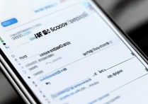 苹果手机如何设置才能显示电信4G网络信号？