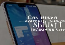 小米手机可以分屏吗