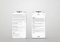 oppo和oppo怎么倒资料