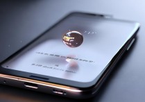 oppo悬浮点功能怎么设置？开启后如何自定义显示内容？