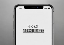 vivox21丢了怎么锁死？手机丢失后如何远程锁定防止信息泄露