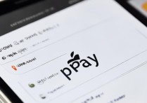 苹果手机如何控制流量?