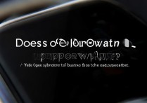 OPPOWatch2支持微信吗？使用方法详解