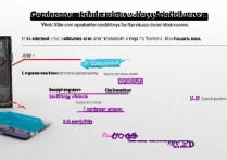 为什么vivo手机老死机怎么办，vivo手机频繁死机是什么原因