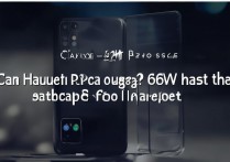 华为 p40pro 能用 66w 充电器吗？华为 p40pro 电池容量是多少毫安时？