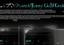 三星a3000怎么手动刷机教程，三星a3000刷机步骤详解