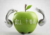 苹果插耳机图标不显示怎么办，苹果耳机插上没图标怎么解决