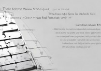 苹果5s功能键怎么设置？详细步骤与常见问题解答