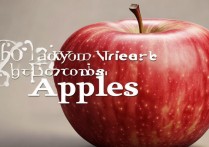 苹果动态照片在哪看?iPhone动态照片查看方法详解