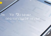 vivoy31权限怎么获得？手机权限设置在哪里打开