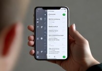 苹果6双屏幕怎么用的