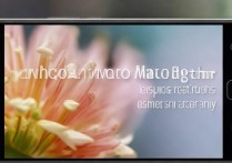 华为mate8怎么拍微距？手机微距摄影技巧与操作步骤详解