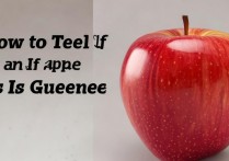 苹果怎么看是不是正品？iPhone真假辨别方法