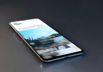 vivo手机查找网站