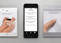 苹果 5 手机有指纹解锁怎么设置，iPhone 5s 指纹解锁功能设置教程
