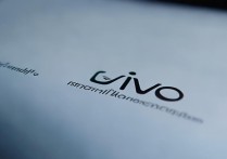 vivo安装包