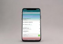 苹果 7 怎么设置显示时间？设置时间显示在哪里