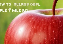 苹果手机怎么升级内存，苹果手机增加存储空间的方法