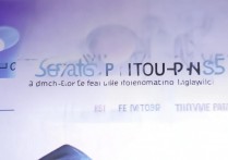 vivos5怎么查找关于手机，vivos5在哪里看手机型号