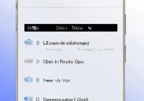 oppo手机录音删除了怎么恢复？有没有办法找回？