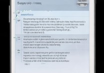 三星i929如何刷回2.3.6系统？详细步骤教程